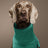 Hooded polar fleece dog jumper, available in 5 colours, sizes Small to 5XL, image 4