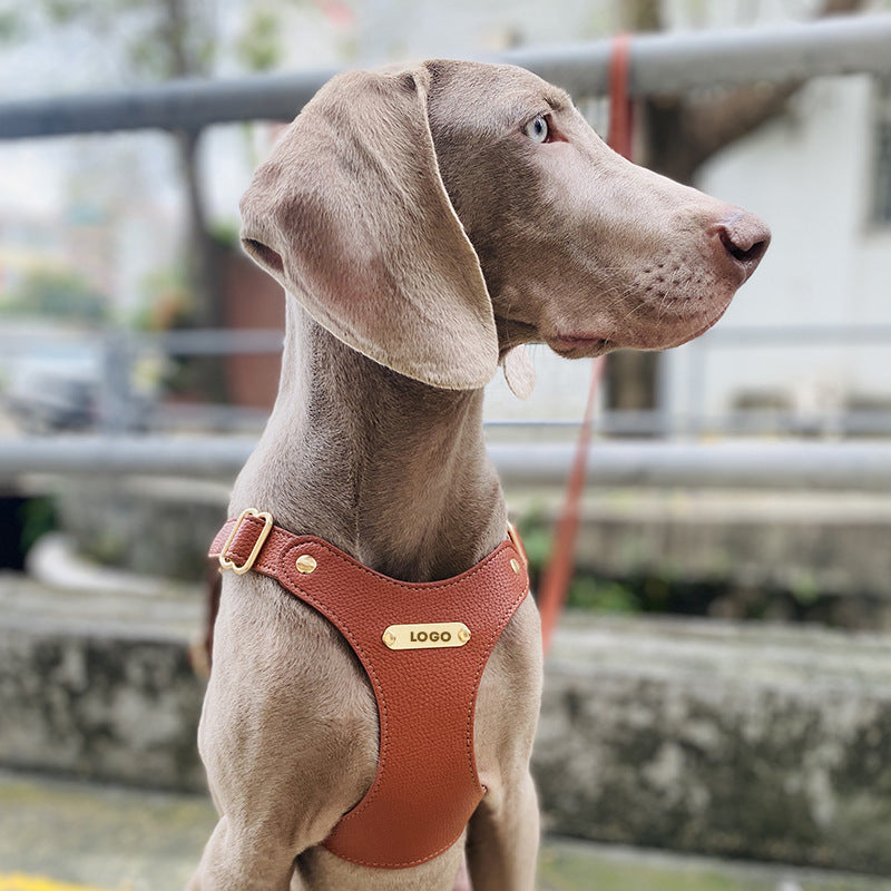Classic dog harnesses in red, black, cream and green