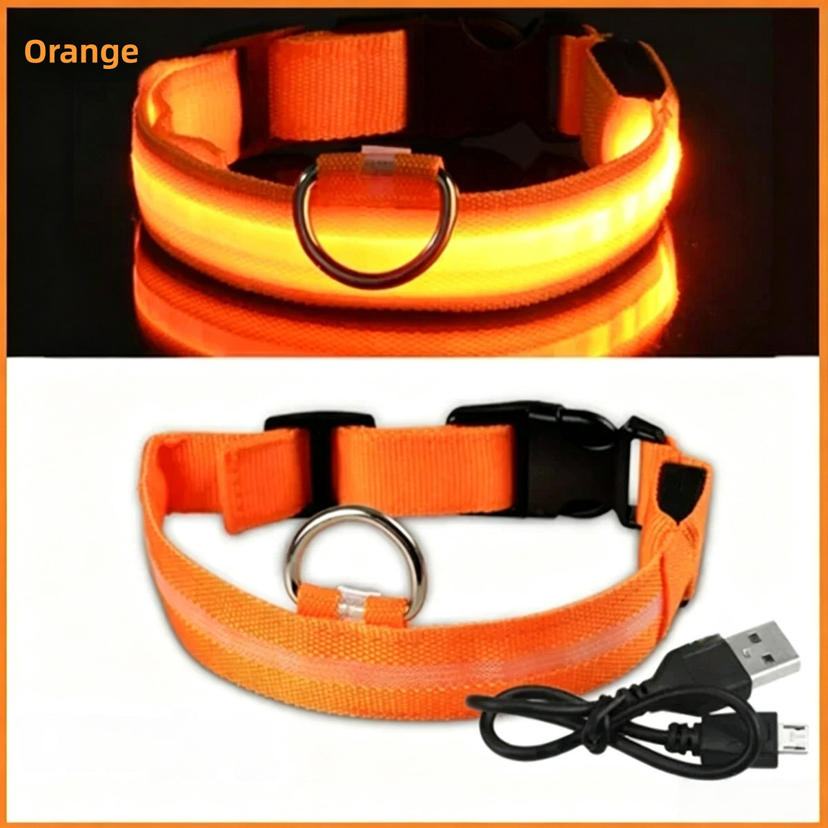 Reflective LED dog collar with USB charging in Black, showing size and shape