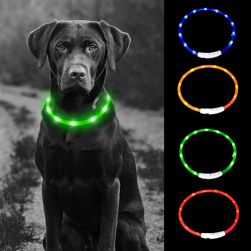 USB rechargeable LED silicone dog collar in Red Fibre Optic, front view