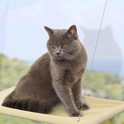 Suction cup cat window perch, photo 1 of 25