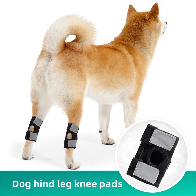 Polyester dog knee pads protecting leg joints of senior dogs in Knee Pad, close-up detail