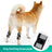 Polyester dog knee pads protecting leg joints of senior dogs in Knee Pad, close-up detail