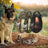 Tactical nylon dog collar and lead in olive and black, view 1
