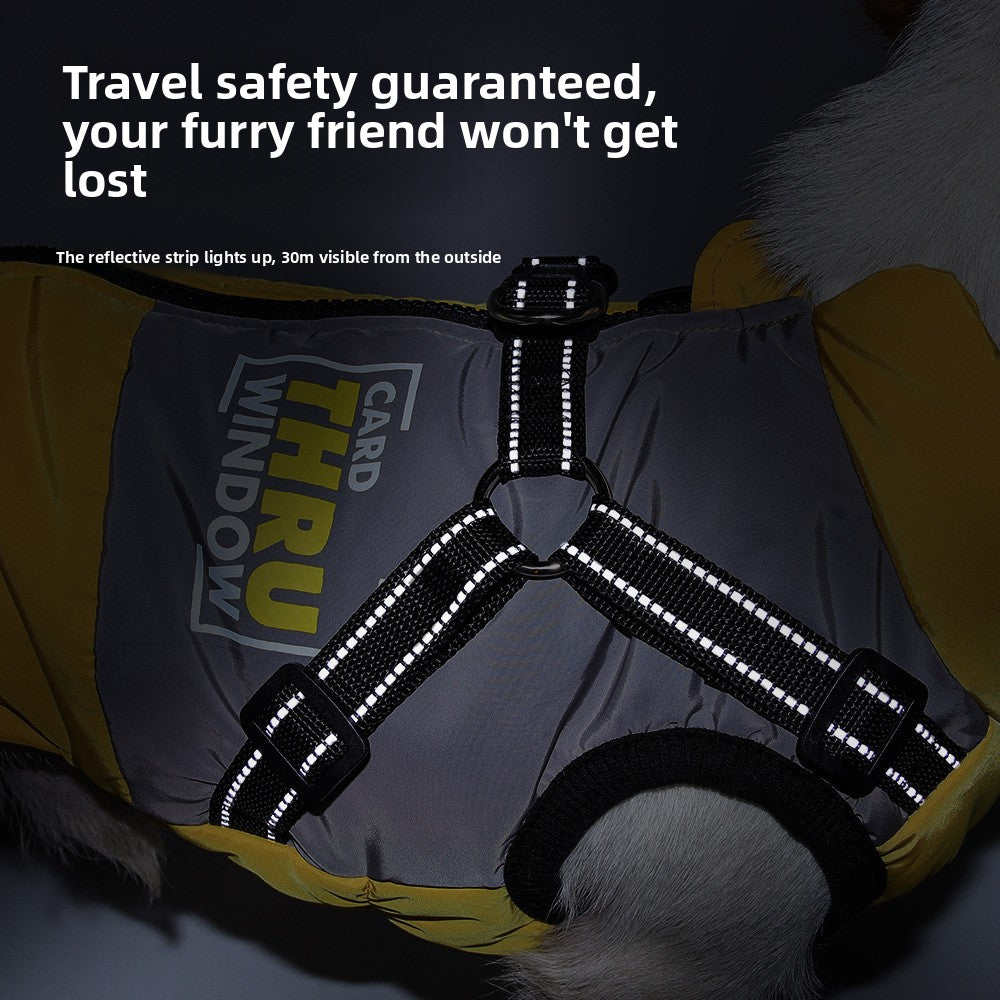 Small dog wearing a grey padded winter gilet