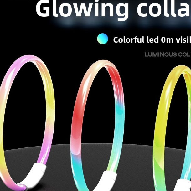 Rechargeable glowing LED dog collar for night walks, view 41