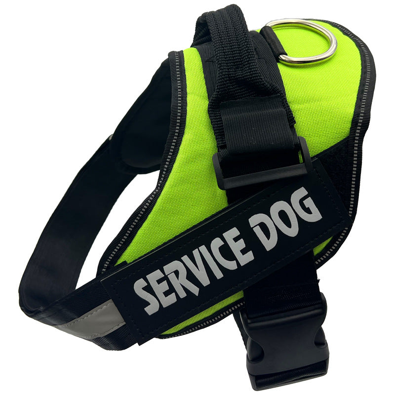 Reflective nylon dog harness with lead in blue, product image 14
