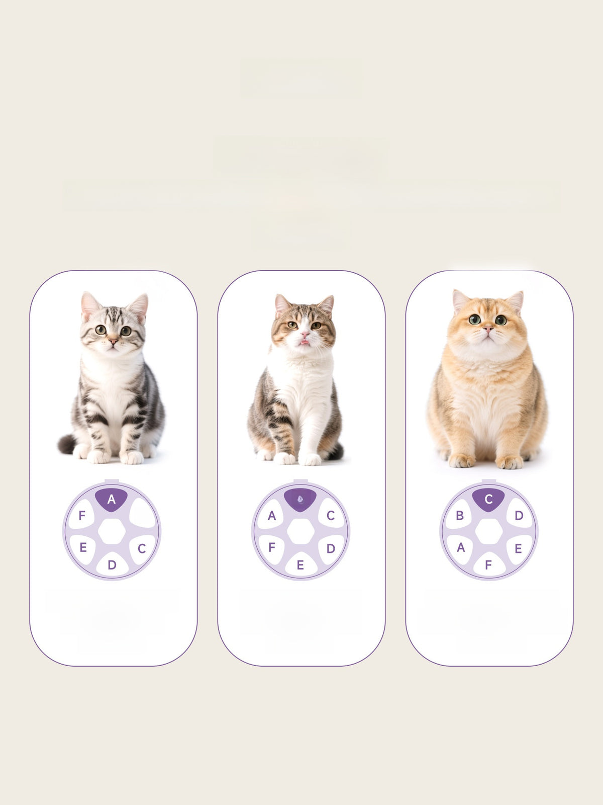 Automatic Cat Feeder with Facial Recognition, Wi-Fi App Control and 2L Food Container