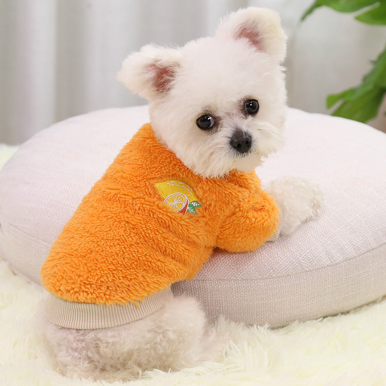 Small dog in an avocado print cotton velvet top