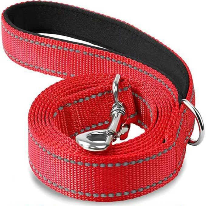 Reflective nylon dog lead with padded handle in blue