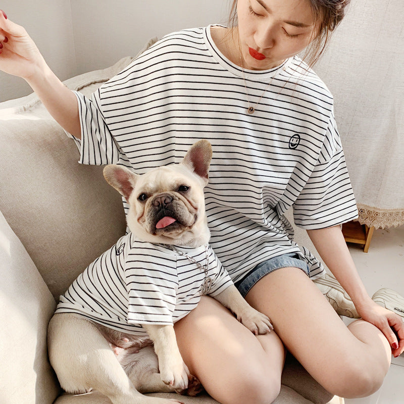 Small dog wearing a striped cotton T-shirt in blue
