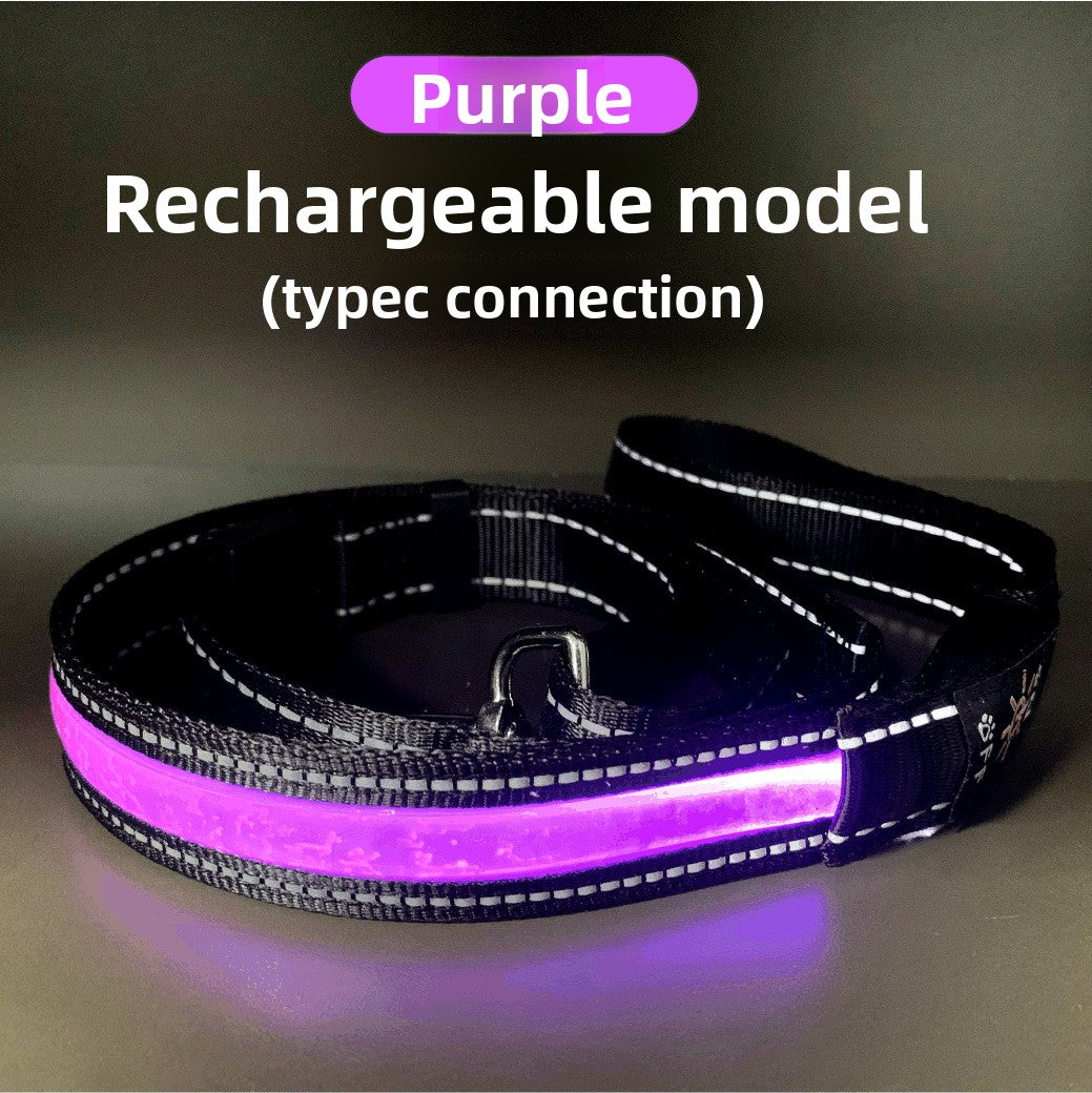 USB rechargeable LED dog collar, main product photo