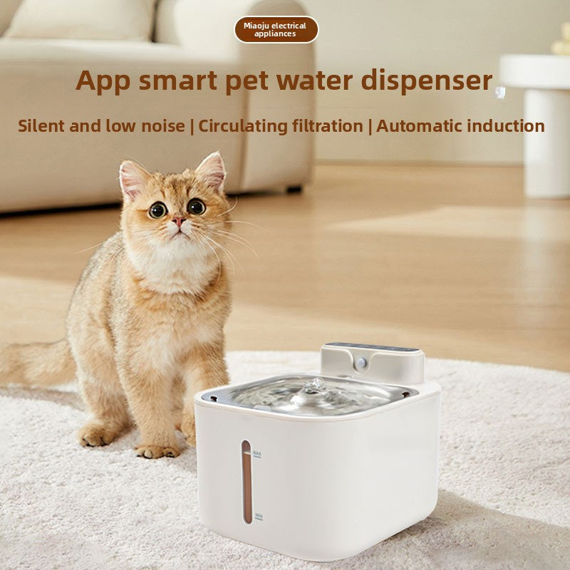 Wireless Smart Pet Water Dispenser with Filtration