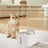 Wireless Smart Pet Water Dispenser with Filtration