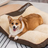 Zip Cover Dog Sofa Bed, Washable Dual Layer Sleeping Pad