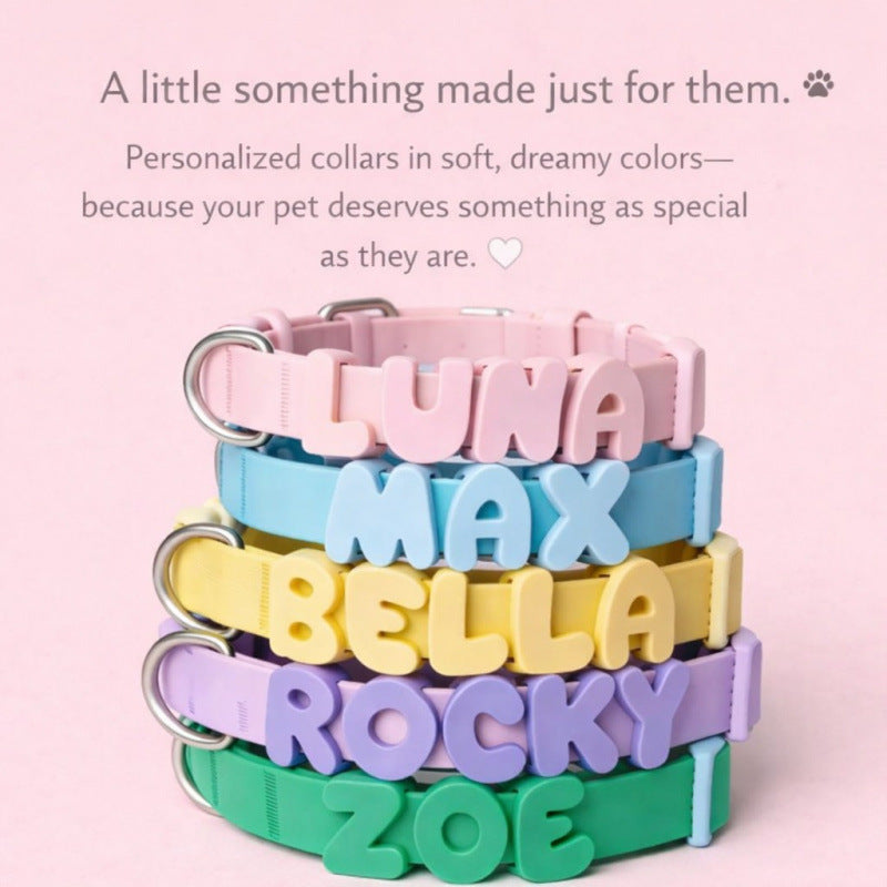 Silicone pet collar with alphabet letters in Dragon Fruit Collar, in a home setting