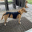 Dog Back Support Vest