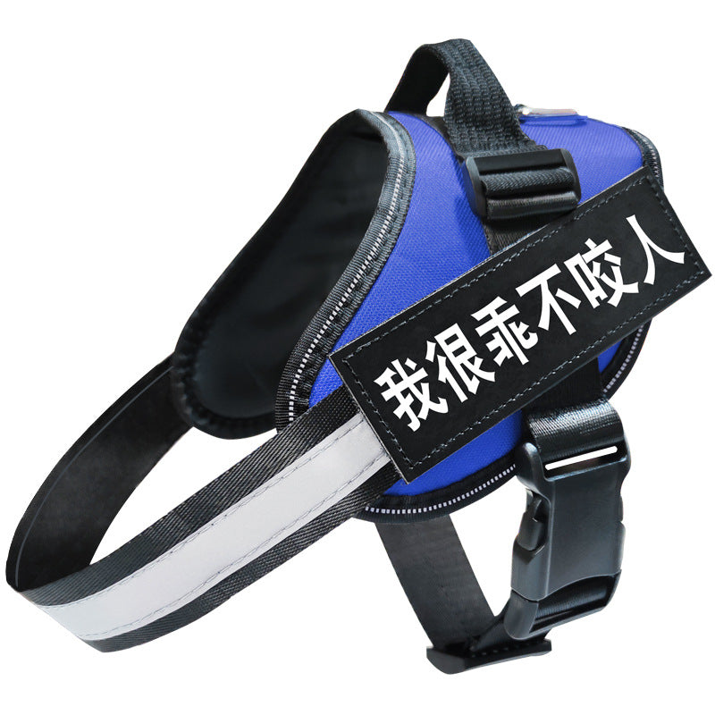 Reflective adjustable dog harness in blue on a walking dog
