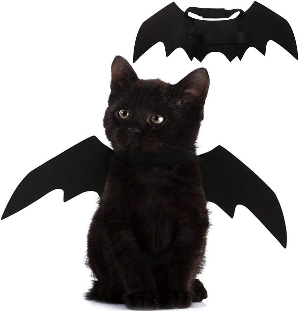 Halloween bat wings and spider costume for dogs and cats, image 6
