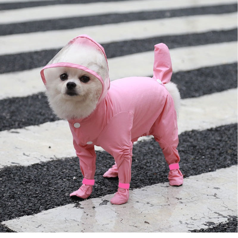 Small dog in a pink full body raincoat with foot covers