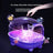 Enclosed Cat Litter Box with Scoop and UV Germicidal Lamp Option