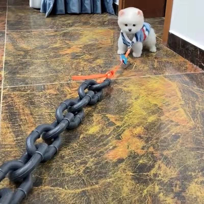 Chain-look plastic dog lead prop, available from Pet Royale UK