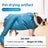 Pet Drying Box for Dogs and Cats