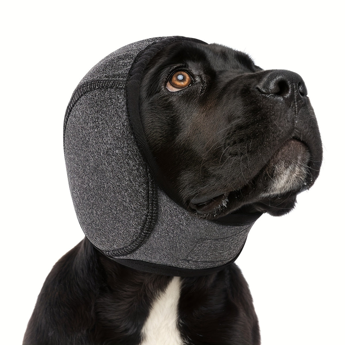 Calming Dog Hood for Noise Reduction During Fireworks