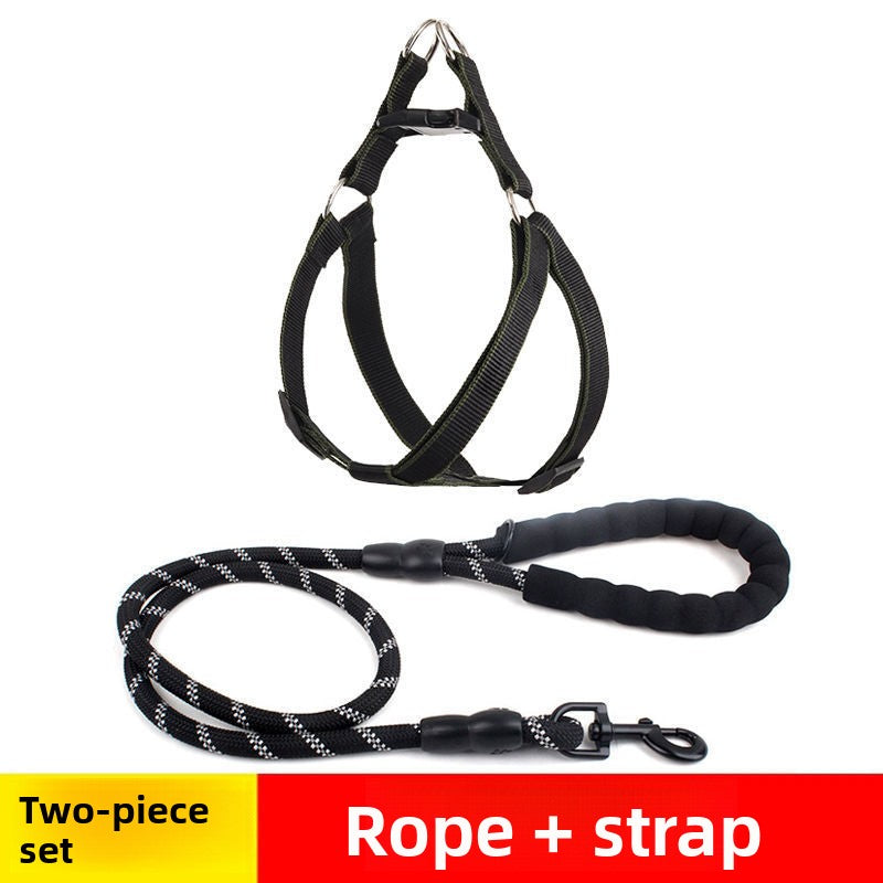 Reflective dog lead and collar set in Blue 2-Piece Set, close-up detail