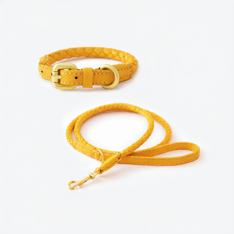 Woven leather look dog collar and lead in sunlight yellow