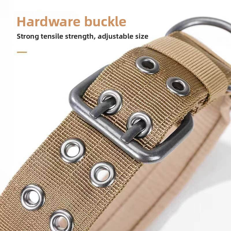 Heavy-duty nylon collar for large dogs, ideal for everyday use
