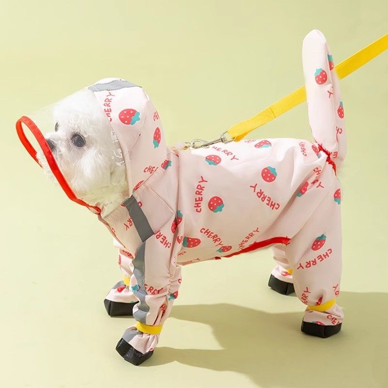 Small dog in a yellow pineapple full body raincoat