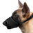 Breathable mesh dog muzzle in orange with padded lining