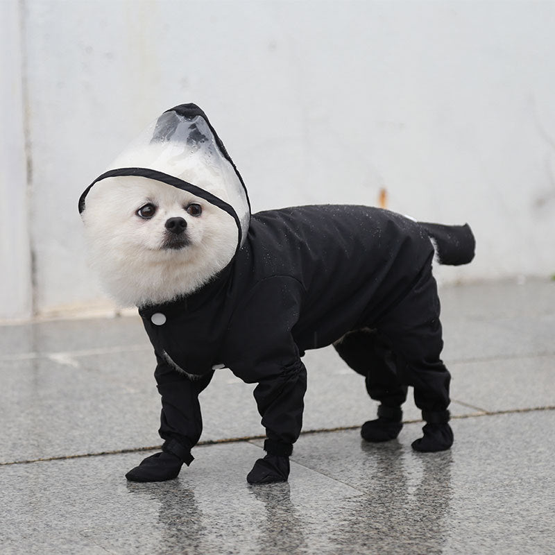 Small dog in a pink full body raincoat with foot covers