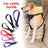 Nylon dog car seat belt lead with swivel clip, product photo