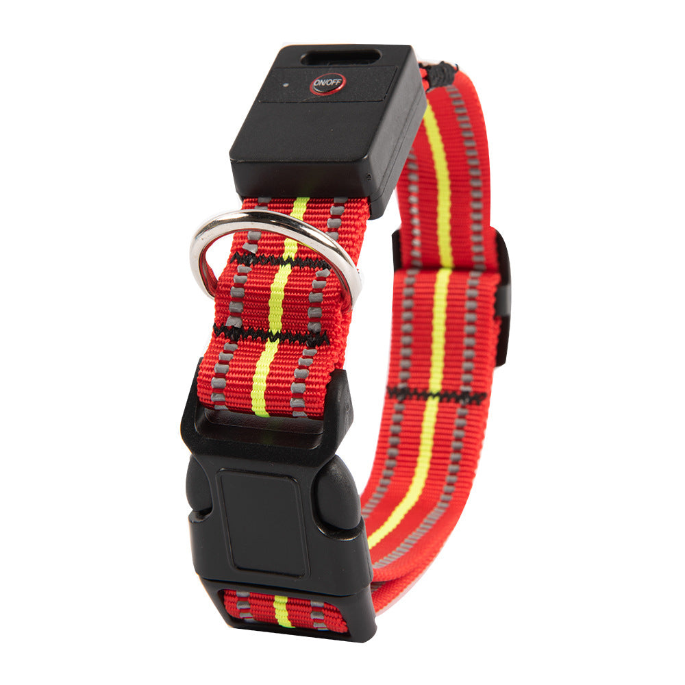 Blue fibre optic LED dog collar glowing on a night walk