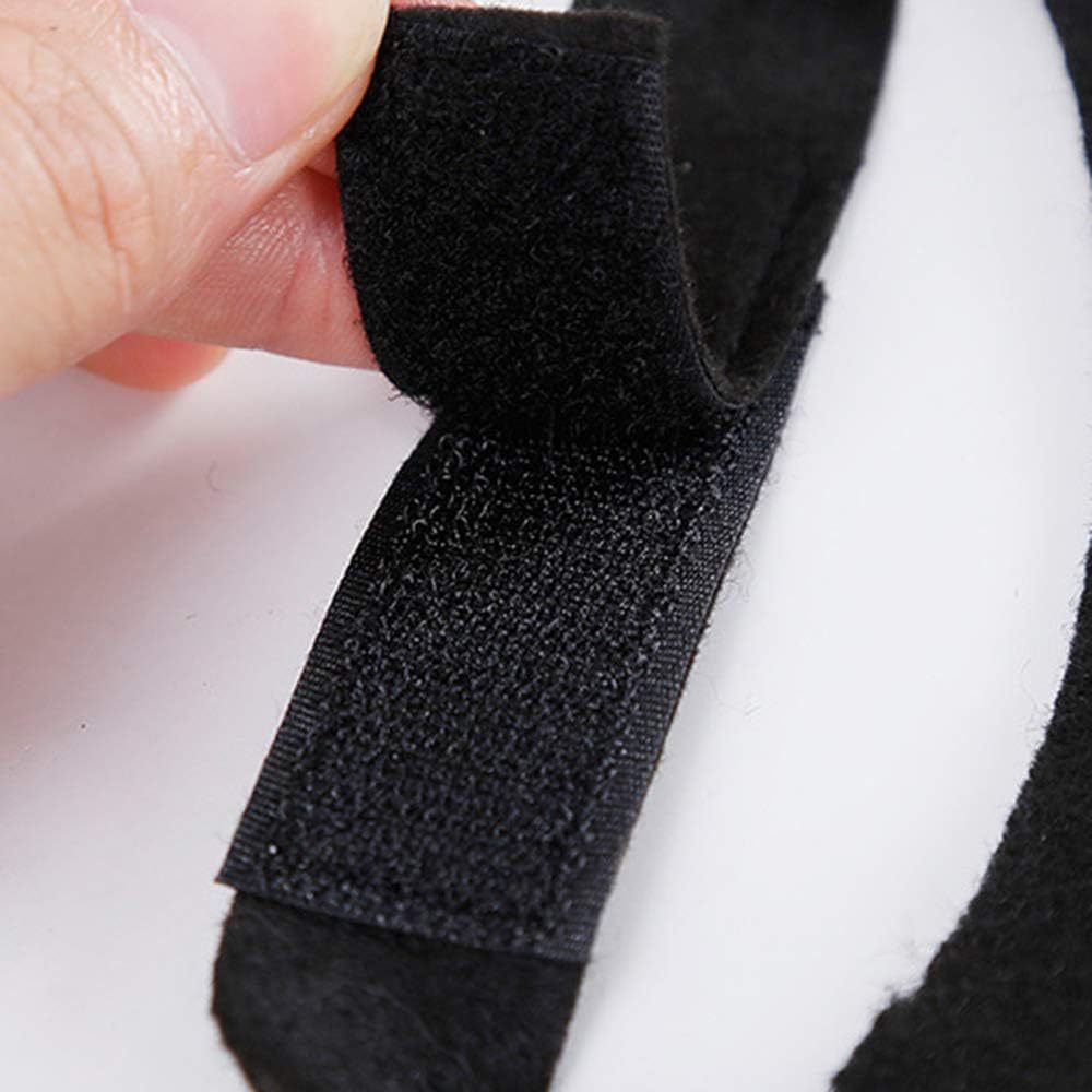 Black felt bat wing Halloween costume for cats and dogs, image 3