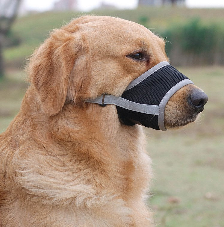 Breathable mesh dog muzzle in orange with padded lining