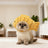 Cute animal headgear hat for cats and small dogs in Shark, material detail
