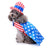 Selection of Christmas and Halloween pet costume designs