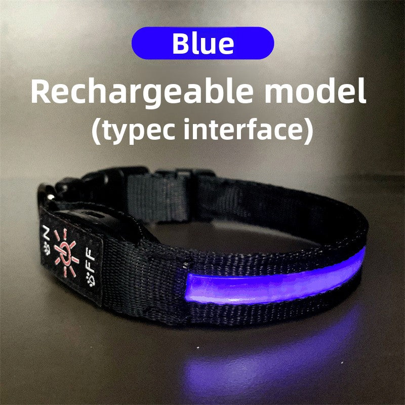 USB rechargeable LED dog collar, main product photo