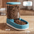 Water Dispenser Feeder