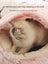 Semi-enclosed plush cat bed, photo 4 of 29