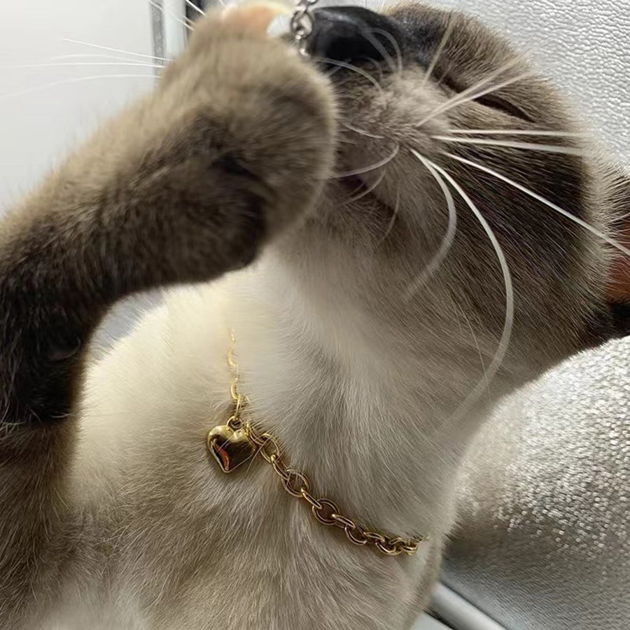 Alloy chain pet necklace with heart pendant, available from Pet Royale UK
