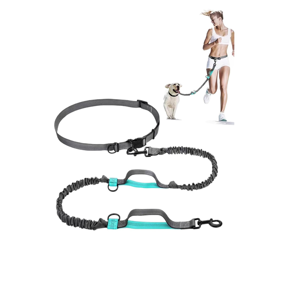 Extendable reflective nylon lead for dogs and cats in 3 colour options