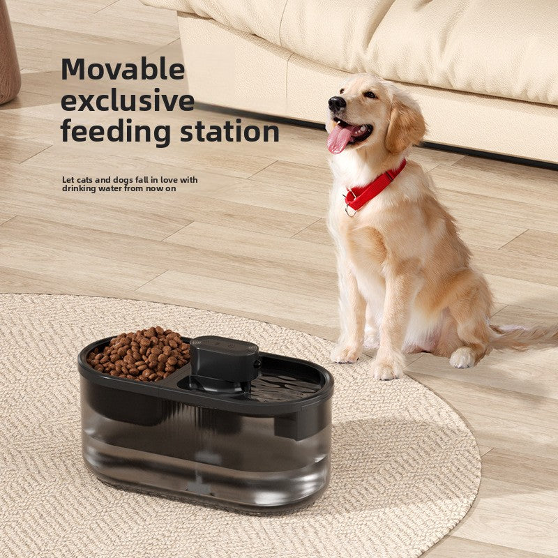 Intelligent pet drinking water feeder