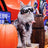 H-shaped cat harness and lead set in polyester, product image 4
