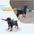 Adjustable blue pet bumper ring harness in polyester, product image 3
