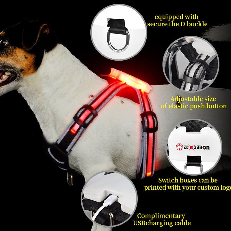 Dog wearing a colour-changing LED harness in the dark