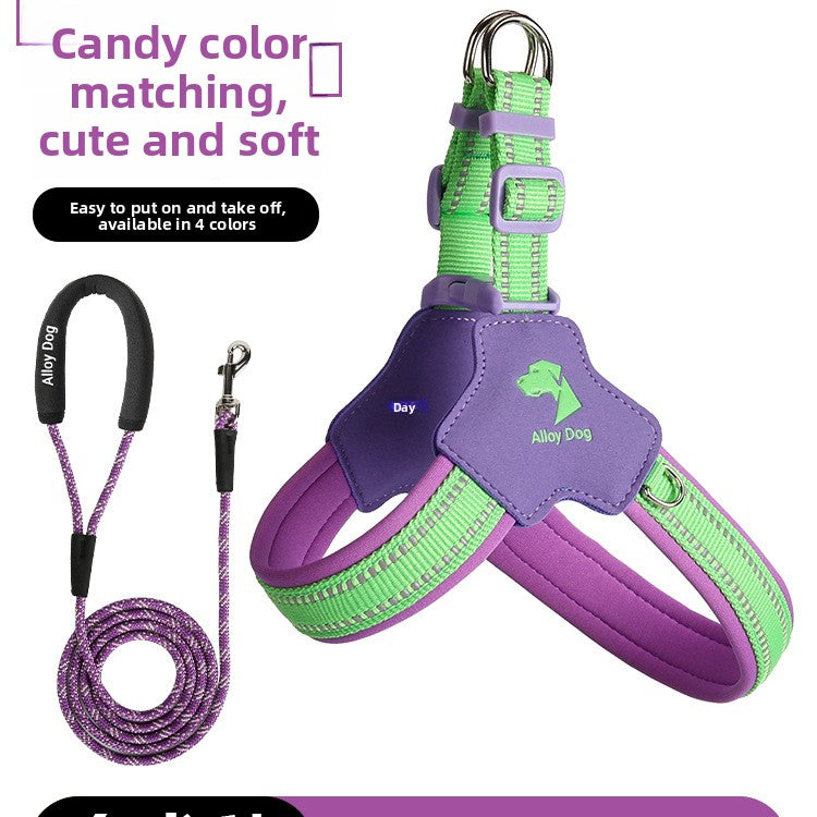 Pastel two tone dog harness in sea salt mint
